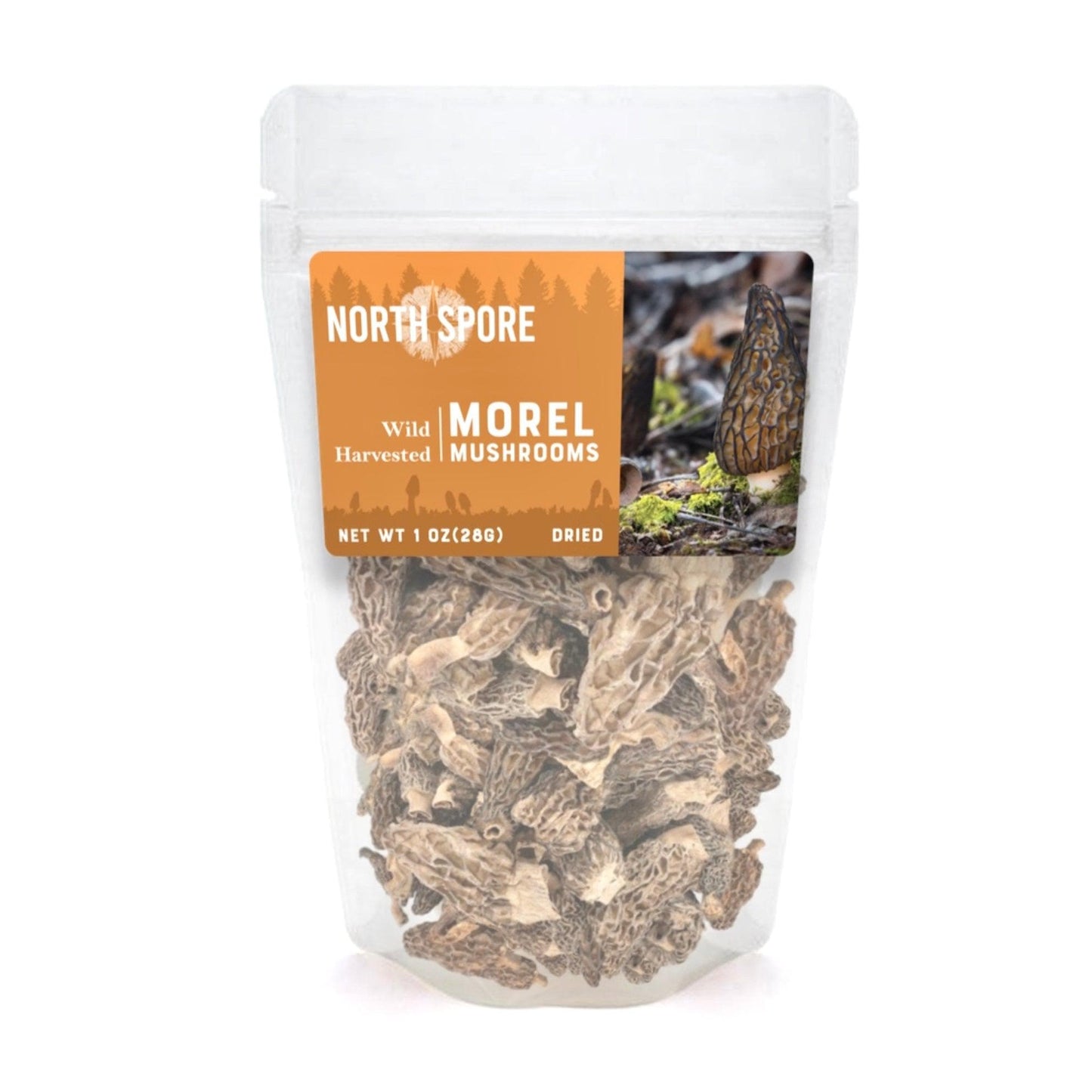 Wholesale | Dried Wild Mushrooms