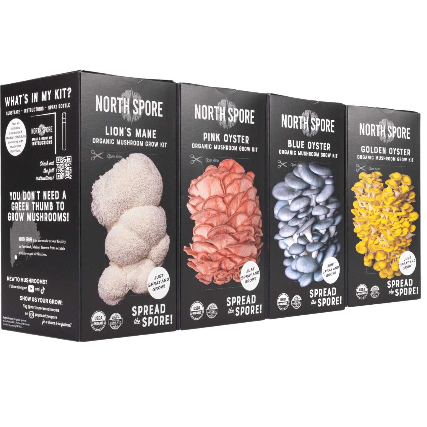 Wholesale | Organic 'Spray & Grow' Mushroom Kits