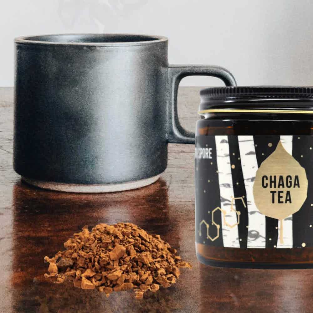 Wholesale | Wild Chaga Mushroom Tea