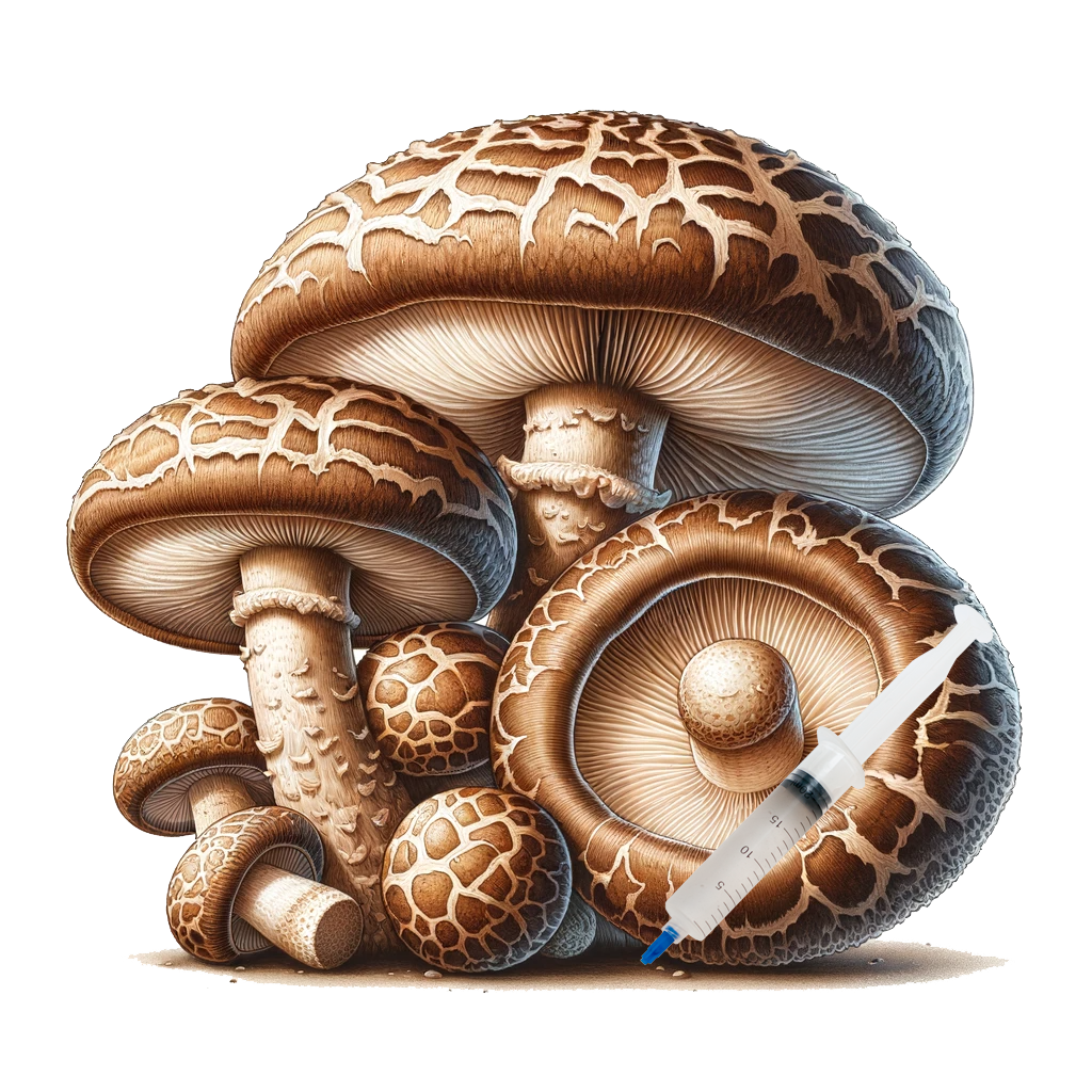 Shiitake (10cc) Culinary Mushroom Liquid Culture