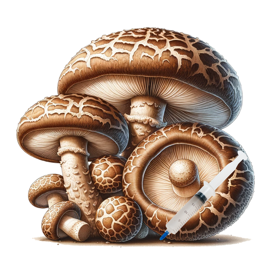 Shiitake (10cc) Culinary Mushroom Liquid Culture
