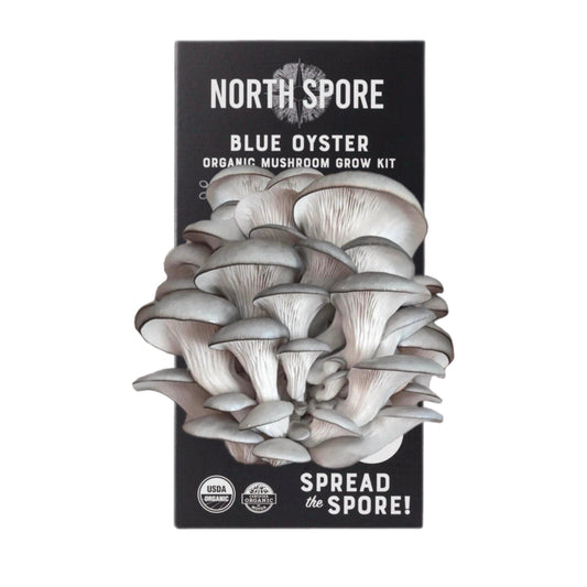 Organic Blue Oyster ‘Spray & Grow’ Mushroom Growing Kit