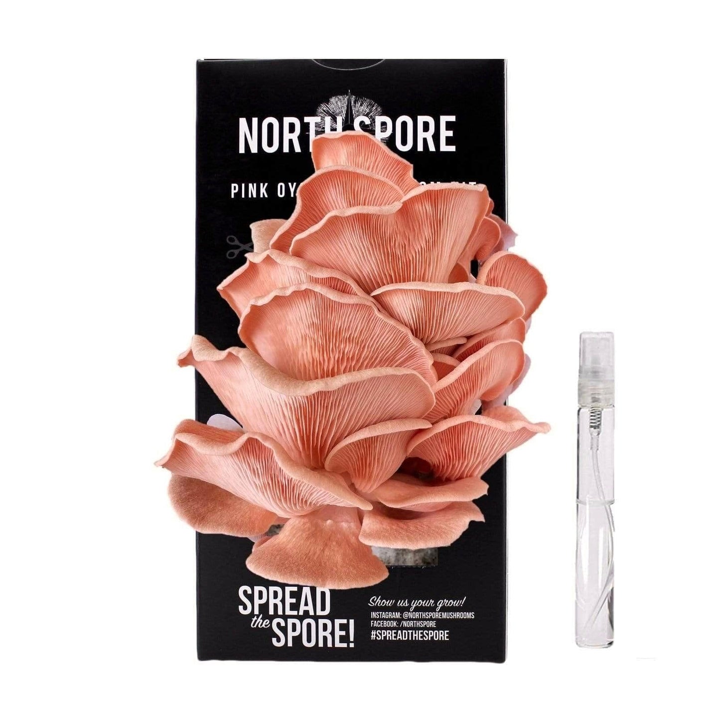 Valentine’s Day Pink Oyster ‘Spray & Grow’ Mushroom Kit