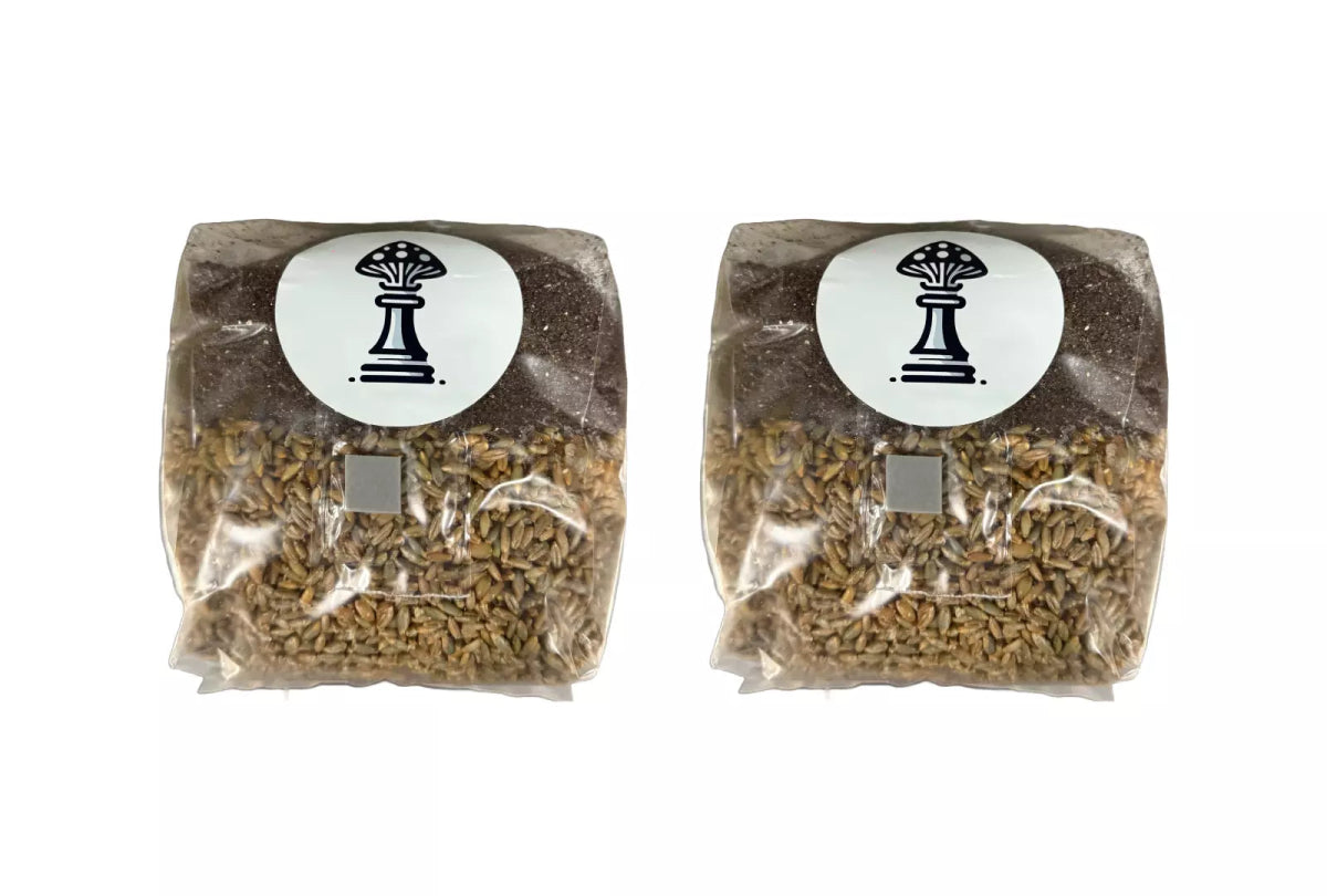 Two Zugzology Sterile All-in-One Mushroom Grow Bags (8 lbs total) are shown. Each transparent bag with brown grains and a white circular label featuring a black chess piece design includes a small gray square on the front, ideal for cultivation, against a white background.