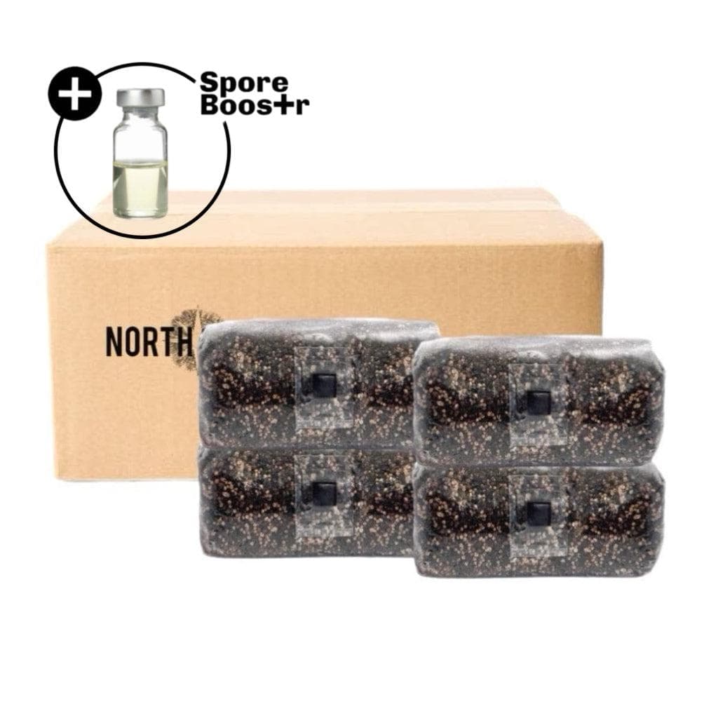 4-pack 'ShroomTek' + Spore Boostr All-in-One Mushroom Grow Bag