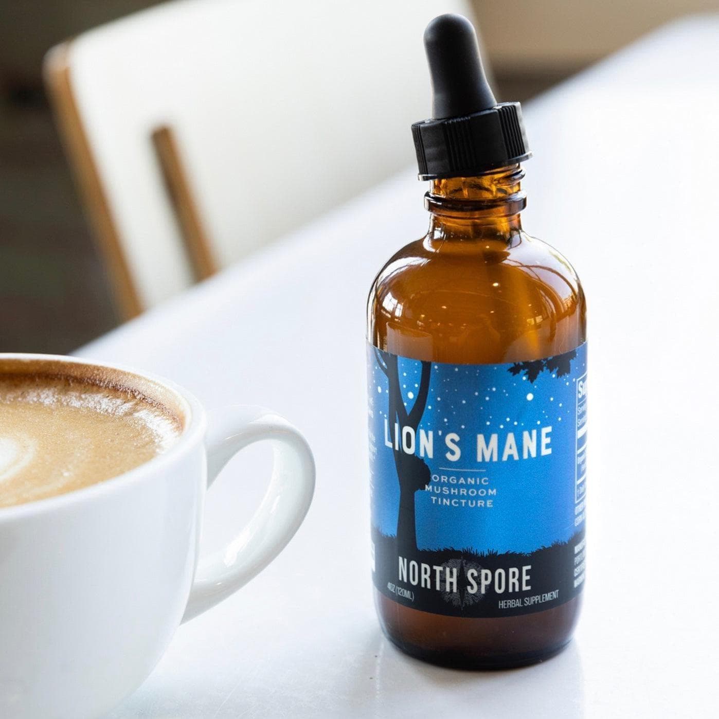 Lion's Mane Mushroom Tincture & Chocolate Wellness Set