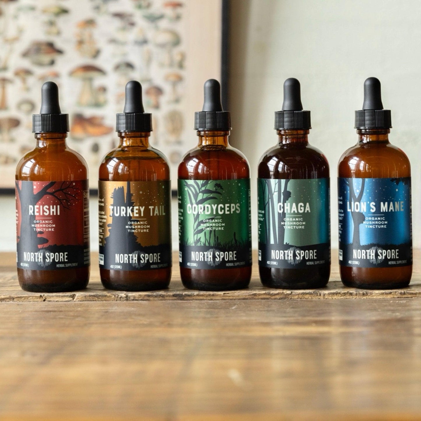 Mind & Body Mushroom Tincture Variety Pack