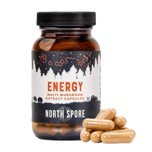 Organic ‘Energy’ Mushroom Capsules