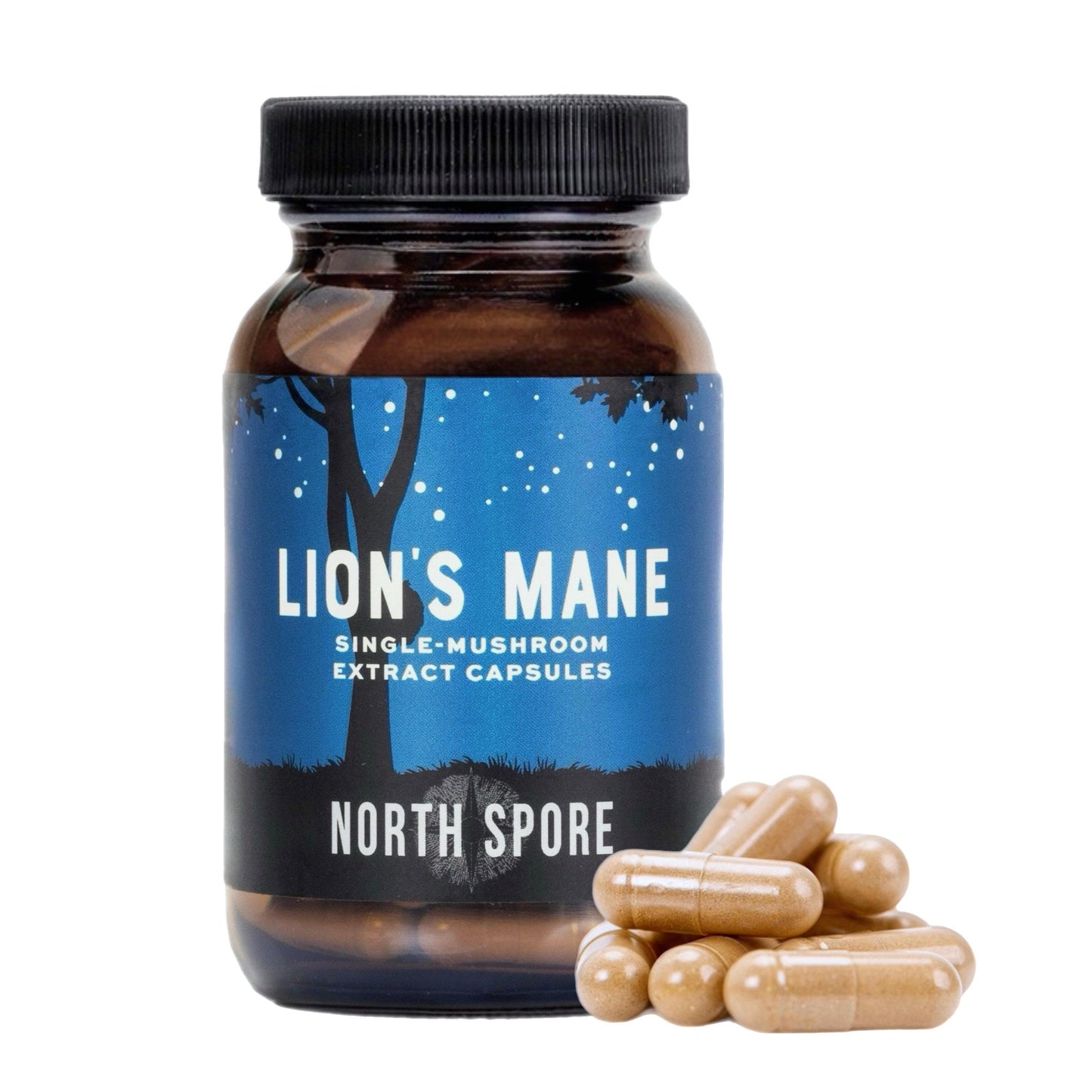 Organic Lion's Mane Mushroom Capsules