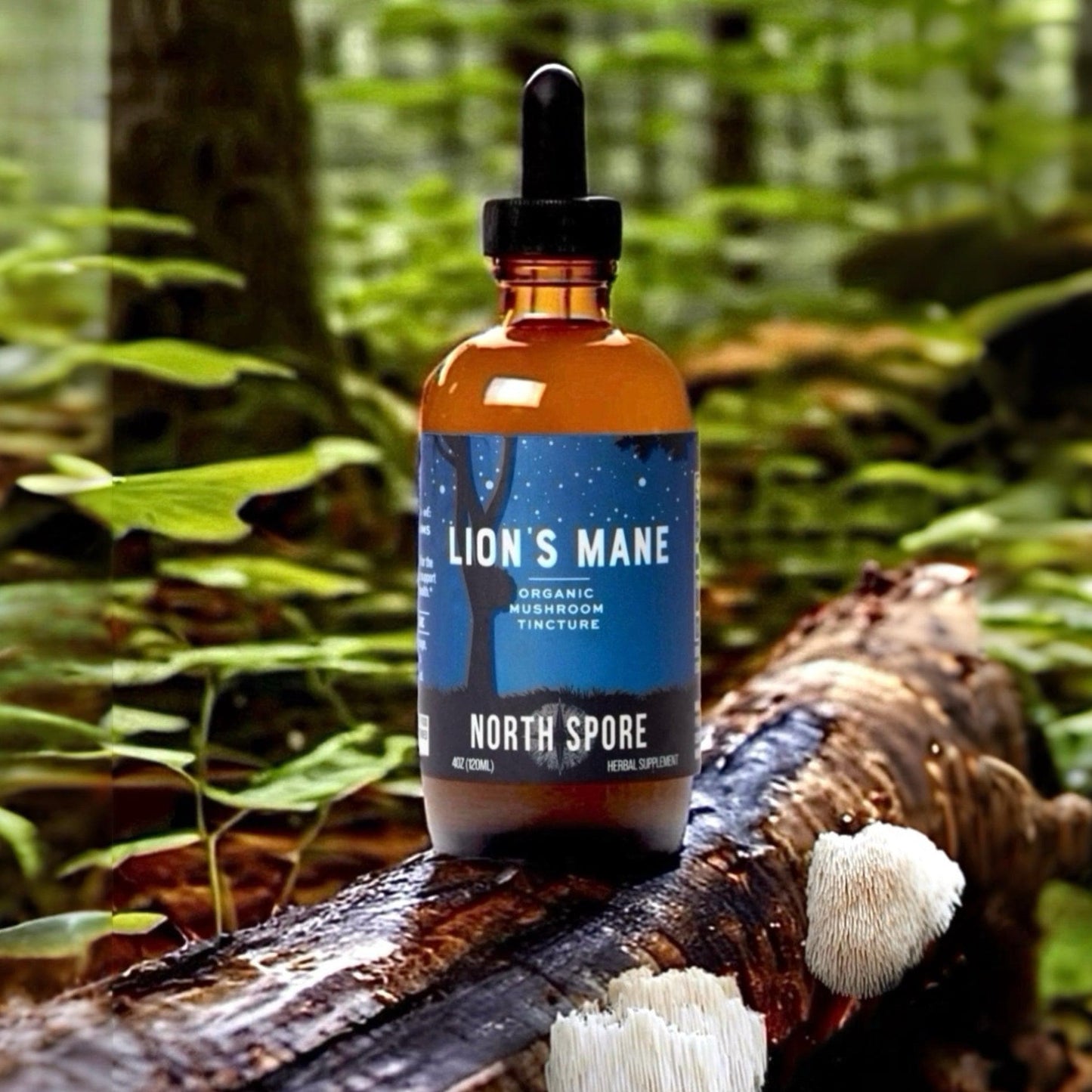 Organic Lion's Mane Mushroom Tincture