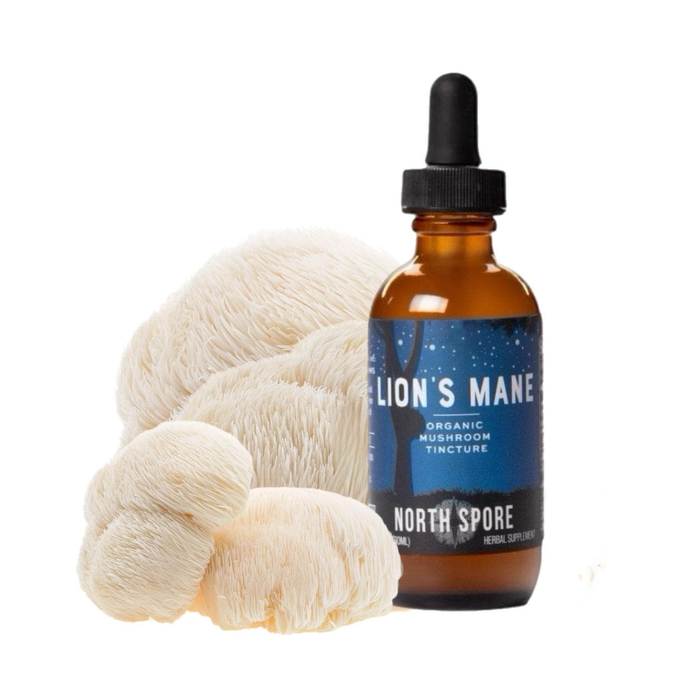 Organic Lion's Mane Mushroom Tincture