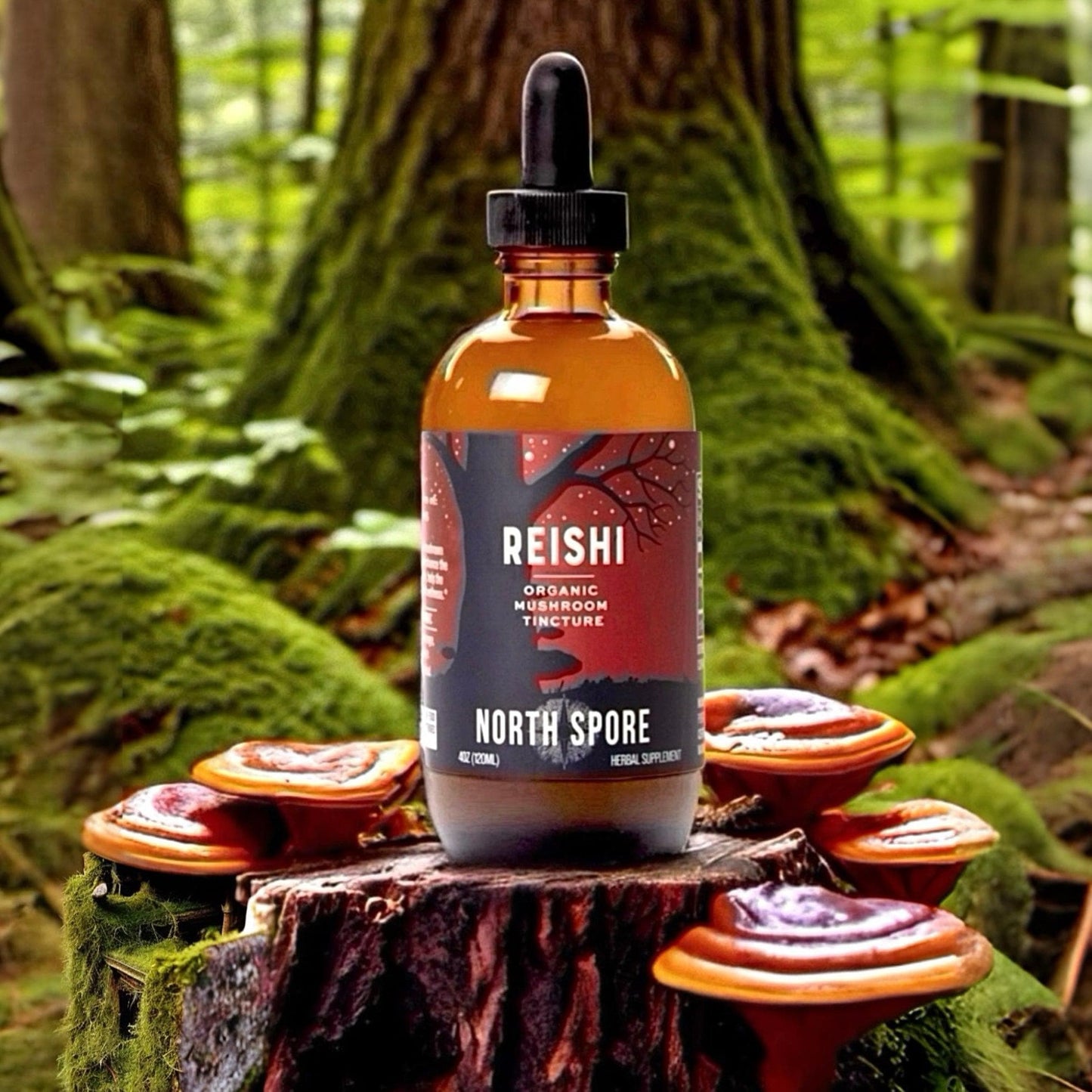 Organic Reishi Mushroom Tincture