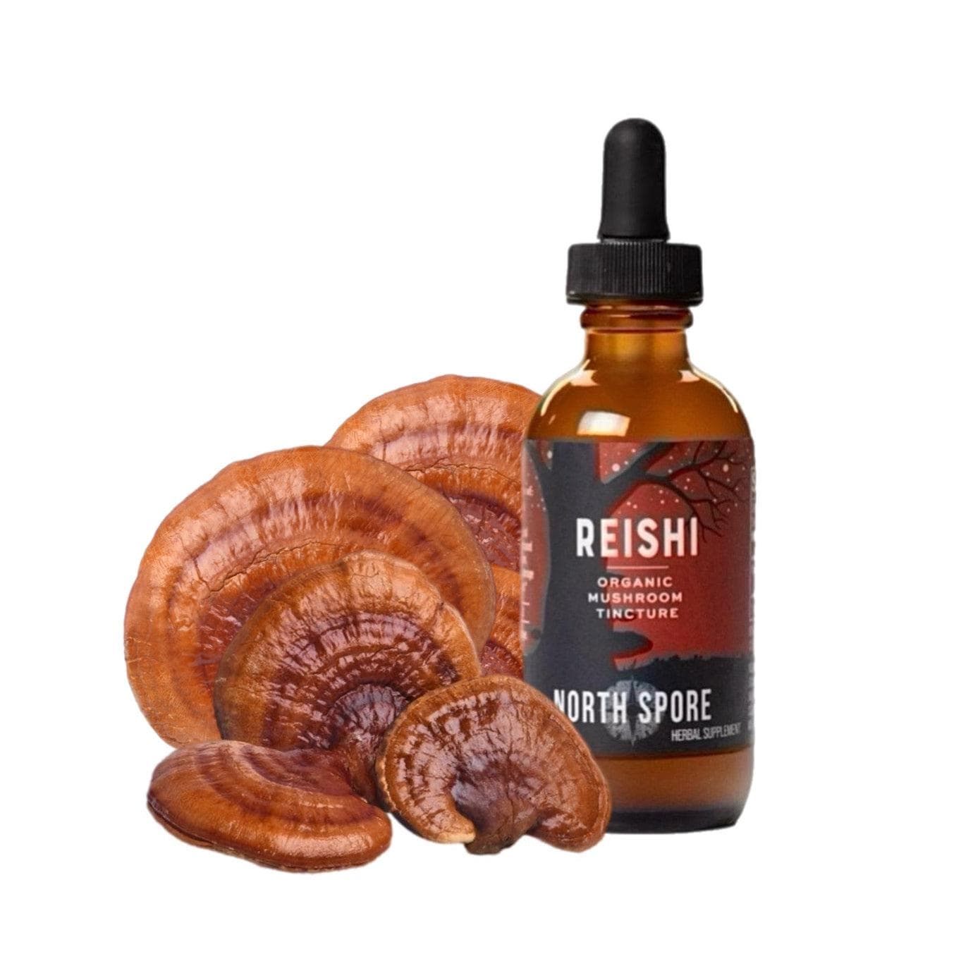 Organic Reishi Mushroom Tincture