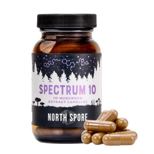 Organic ‘Spectrum 10’ Mushroom Capsules