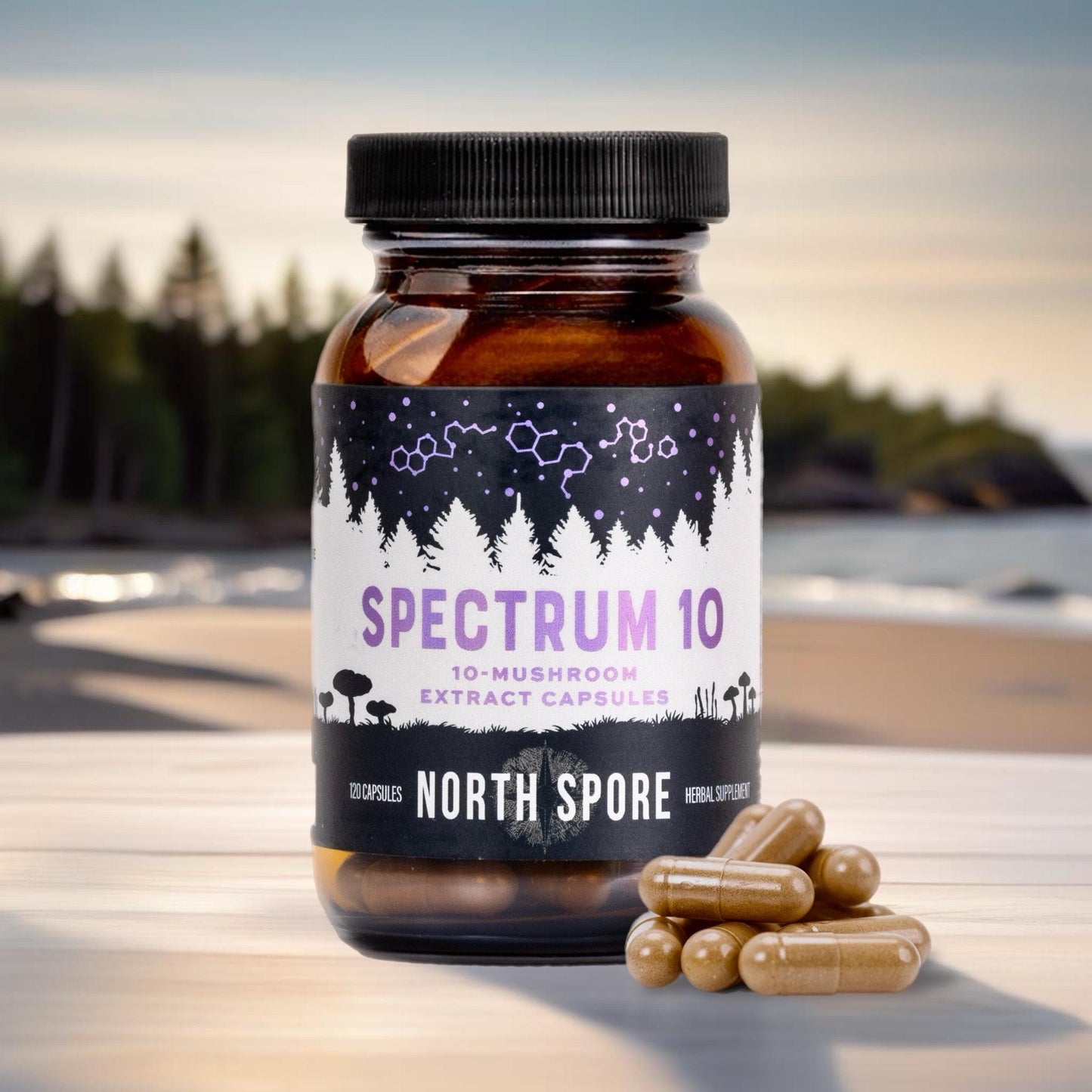 Organic ‘Spectrum 10’ Mushroom Capsules