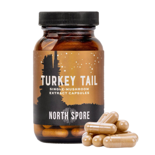 Organic Turkey Tail Mushroom Capsules