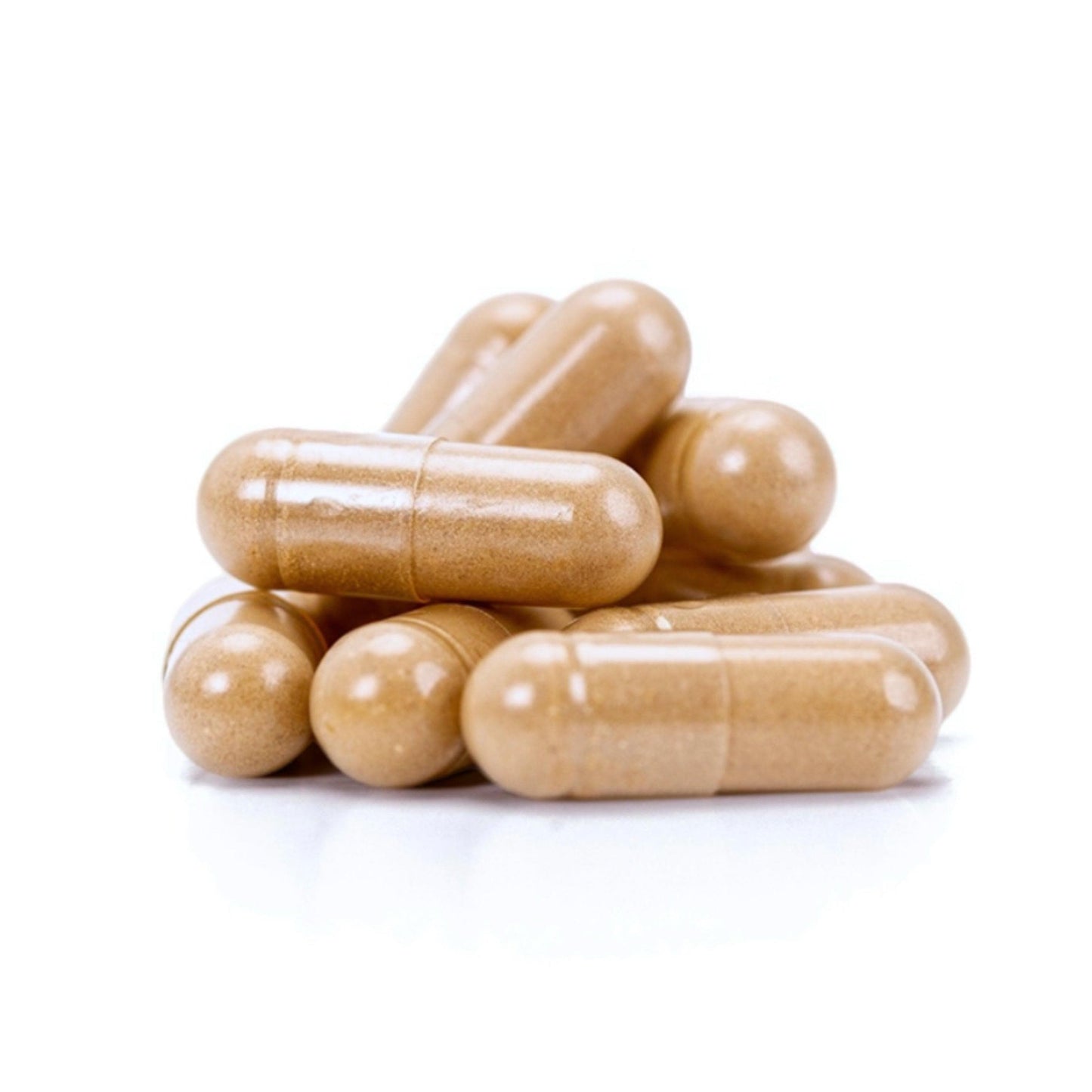 Organic Turkey Tail Mushroom Capsules