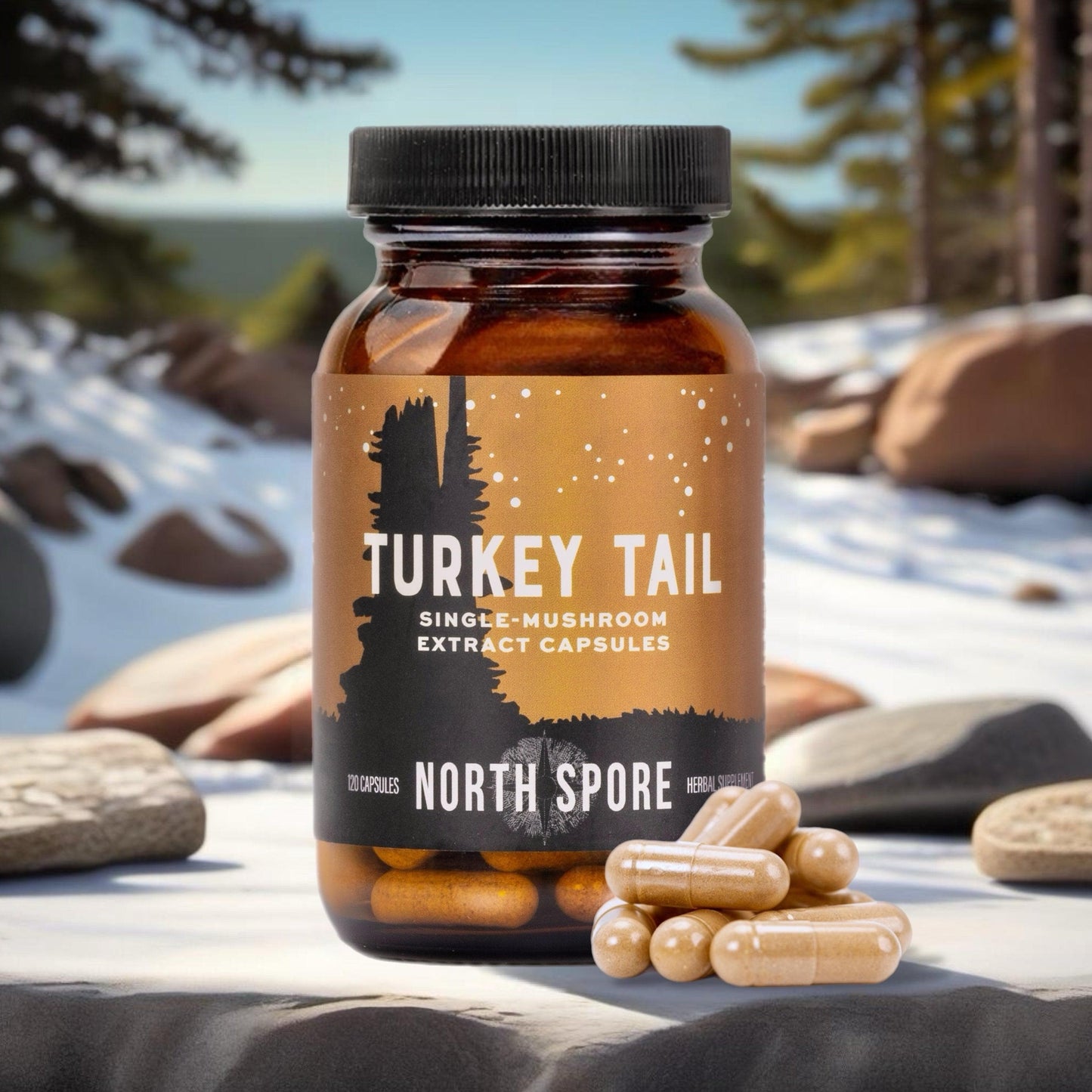 Organic Turkey Tail Mushroom Capsules