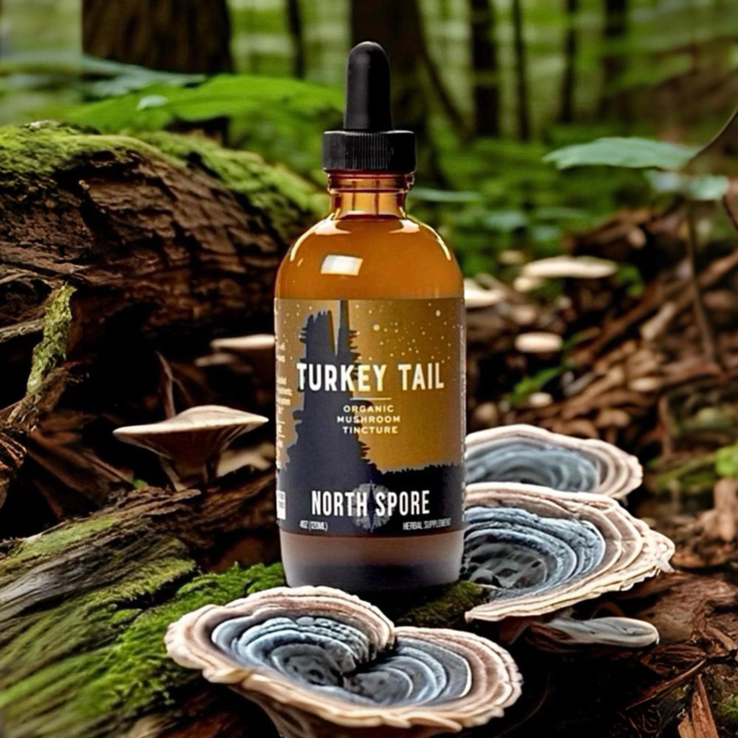 Organic Turkey Tail Mushroom Tincture