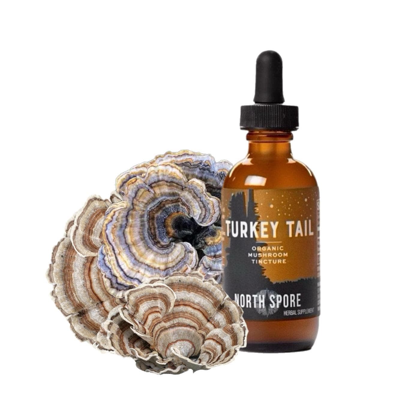 Organic Turkey Tail Mushroom Tincture